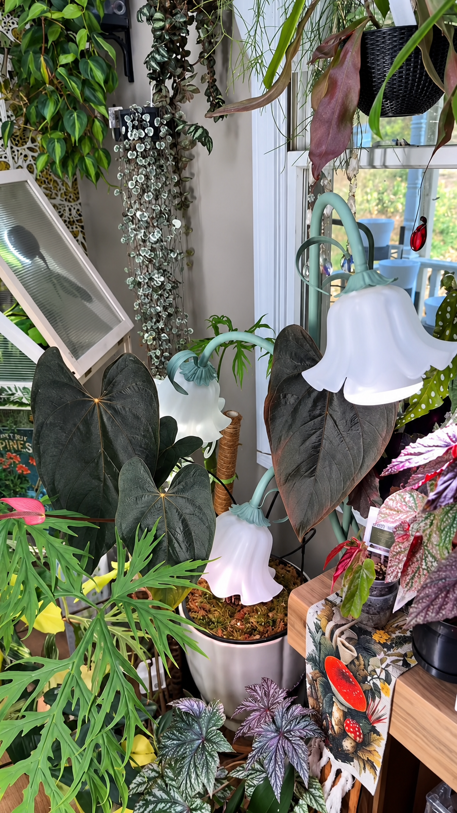 Bloom flower lamp beside houseplants in a real room; enhanced creator video still